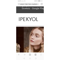 Ipekyol logo - Similar company to Echo Ccss