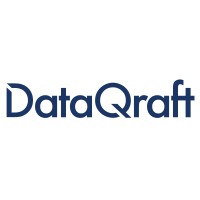 DataQraft logo - Similar company to Data Inn - Your Data Tech Partner