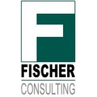 Fischer Consulting / Magna Fs