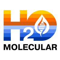 H2O Molecular logo - Similar company to Nanooxygen Systems, Inc.