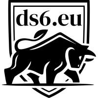ds6.eu - IT-Partner logo - Similar company to Wages Canada