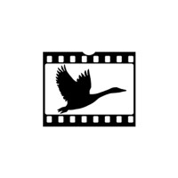 Northern Goose logo - Similar company to Beach Design