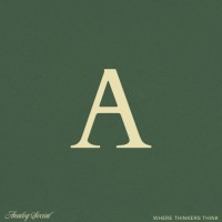 Analog Social logo - Similar company to Interlace Data Solutions