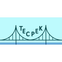 TECPEK Engineering logo - Similar company to Digital Bay Tech