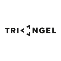 TRIANGEL Transfer | Kultur | Raum logo - Similar company to Denkhafen // Systemisch Spielerisch