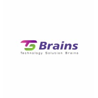 TSBRAINS logo - Similar company to Zee It Services