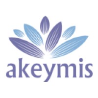 Akeymis logo - Similar company to Actions Dirigeants Sas