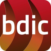bdic.ai logo - Similar company to Axtel Consulting