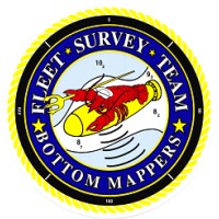 Fleet survey Team logo - Similar company to Bailout Systems, Inc.