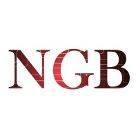 NGB logo - Similar company to Ngb