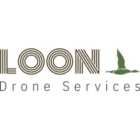Loon Drone Services logo - Similar company to Prylit || Missile And Drone Detection App Stack
