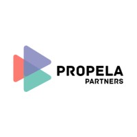 Propela Partners logo - Similar company to Auditlab