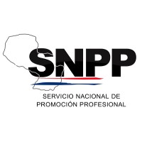 SNPP logo - Similar company to Flebes