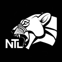 NTL Solutions logo - Similar company to Chameleon E-Invoice Software