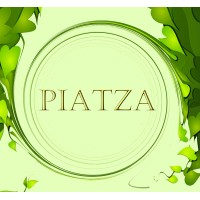 Piatza logo - Similar company to Immaterialai