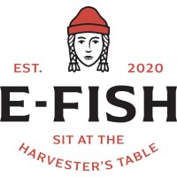 E-Fish, Co logo - Similar company to Peaks & Professors