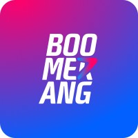 Boomerang Partners logo - Similar company to Dual Lab