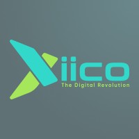 Xiico Software Solutions logo - Similar company to Passiatech