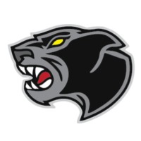 Stray Cat Industrial Services Ltd. logo - Similar company to Pro Paint Canada