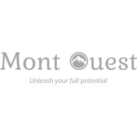 Mont Ouest logo - Similar company to Nx Partners
