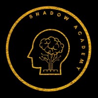 Shadow Academy logo - Similar company to Hypa