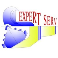 Expert Serv logo - Similar company to Cems Group