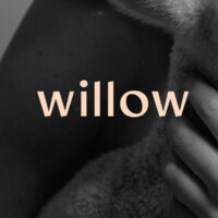 Willow Creative Co logo - Similar company to Tiny Disco