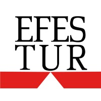 Efestur logo - Similar company to Exit Mice