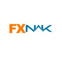 FXNAK Lojistik logo - Similar company to Solo Export