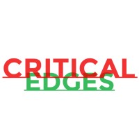 Critical Edges logo - Similar company to Pasito Industries Pvt Ltd