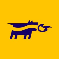 YoungDogs Belgium logo - Similar company to Makeout Studio