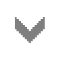 CovertOps logo - Similar company to Dynmeridian Corporation
