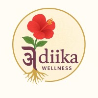 Adiika Wellness logo - Similar company to The Institute Of Doing Nothing (Idn)