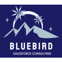 bluebird crm logo - Similar company to E3 Global Inc