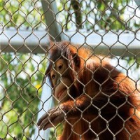 Zoo Mesh logo - Similar company to Aviary Mesh