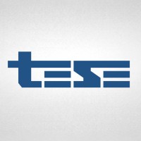 TESE Motores Elétricos logo - Similar company to Riberar