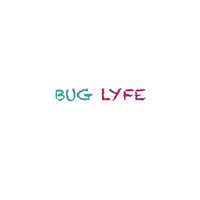 BUG LyFE logo - Similar company to Oneo2 Creative Studio
