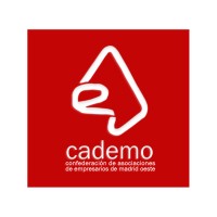 cademo logo - Similar company to Sky Reputation
