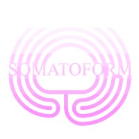 Somatoform logo - Similar company to Studio Downstairs