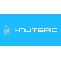I NUMERIC logo - Similar company to Groupe Jfm Audit