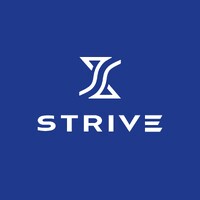 Strive Group logo - Similar company to Sun-Gard®