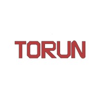 Torun Zemin Inşaat A.Ş logo - Similar company to Birdallar Inşaat