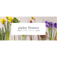 Pipley Flowers
