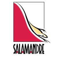 Cabinet Salamandre Draguignan | sécurité des personnes et des biens logo - Similar company to Mars30