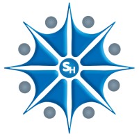 Simul Holding logo - Similar company to Itcommerce