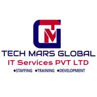 TMG IT SERVICES Pvt Ltd logo - Similar company to Ach Software