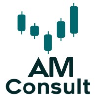 AM Consult logo - Similar company to Residencia Universitaria Panamericana