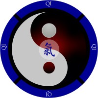 Qi Coin logo - Similar company to One Ai Network