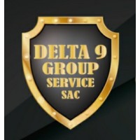 Delta 9 Group Service logo - Similar company to Mmdent