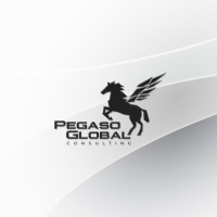 Pegaso Global Consulting logo - Similar company to The Cloud Solution